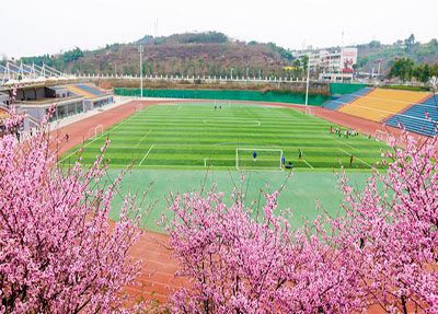 云南财经职业学院五年制大专物流管理介绍